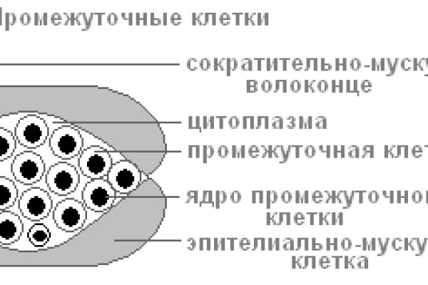 Купон кракен даркнет