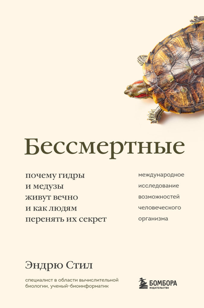Ссылка кракен сайт зеркало